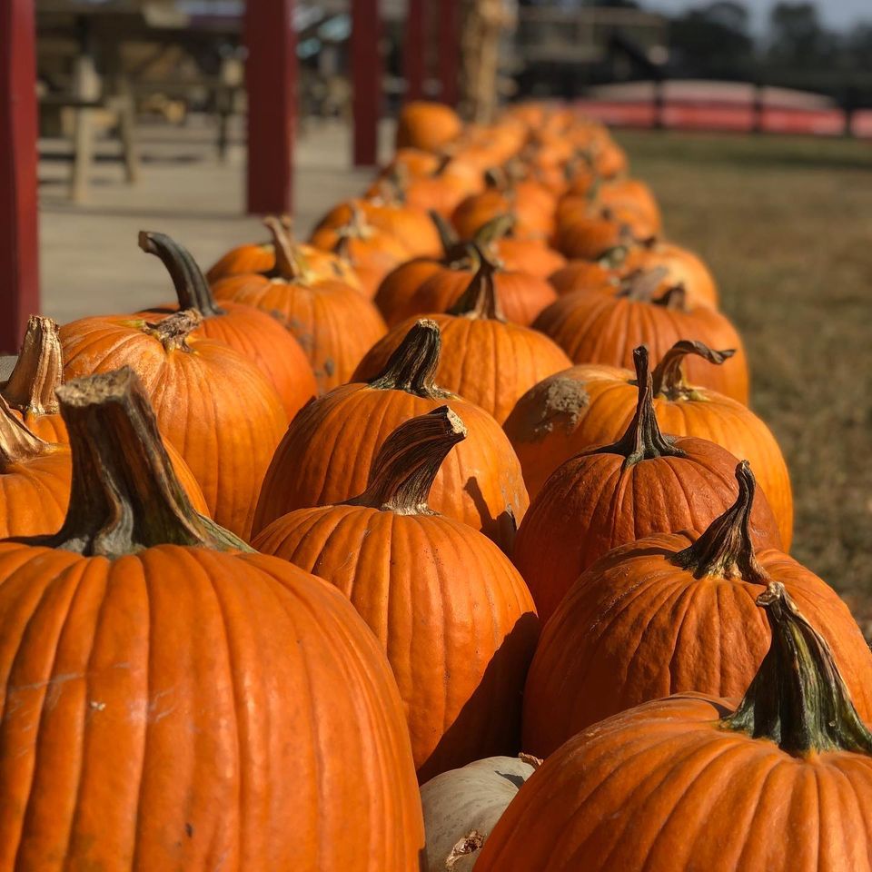 Evans Orchard Market & Cider Mill KY