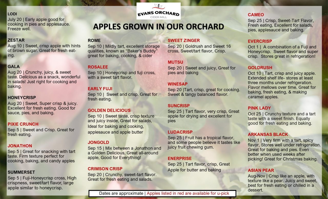 What We Grow Evans Orchard Market & Cider Mill KY