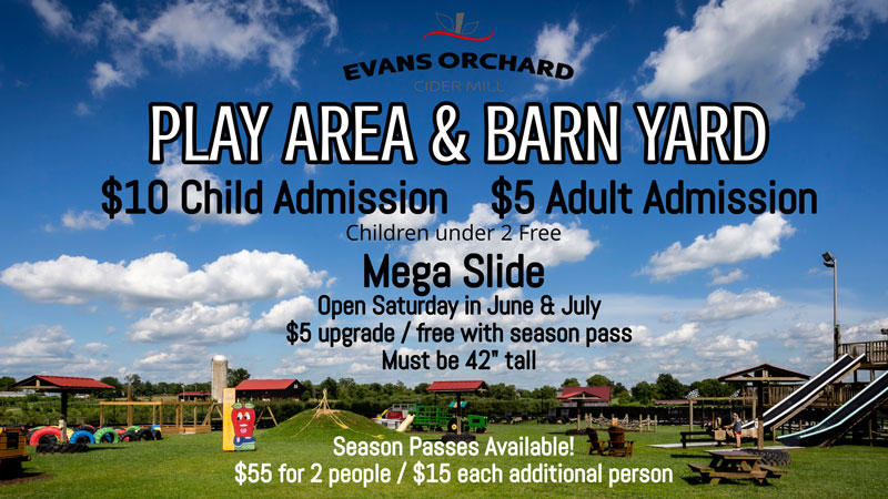 Play-Area-Digital-menu-(1)